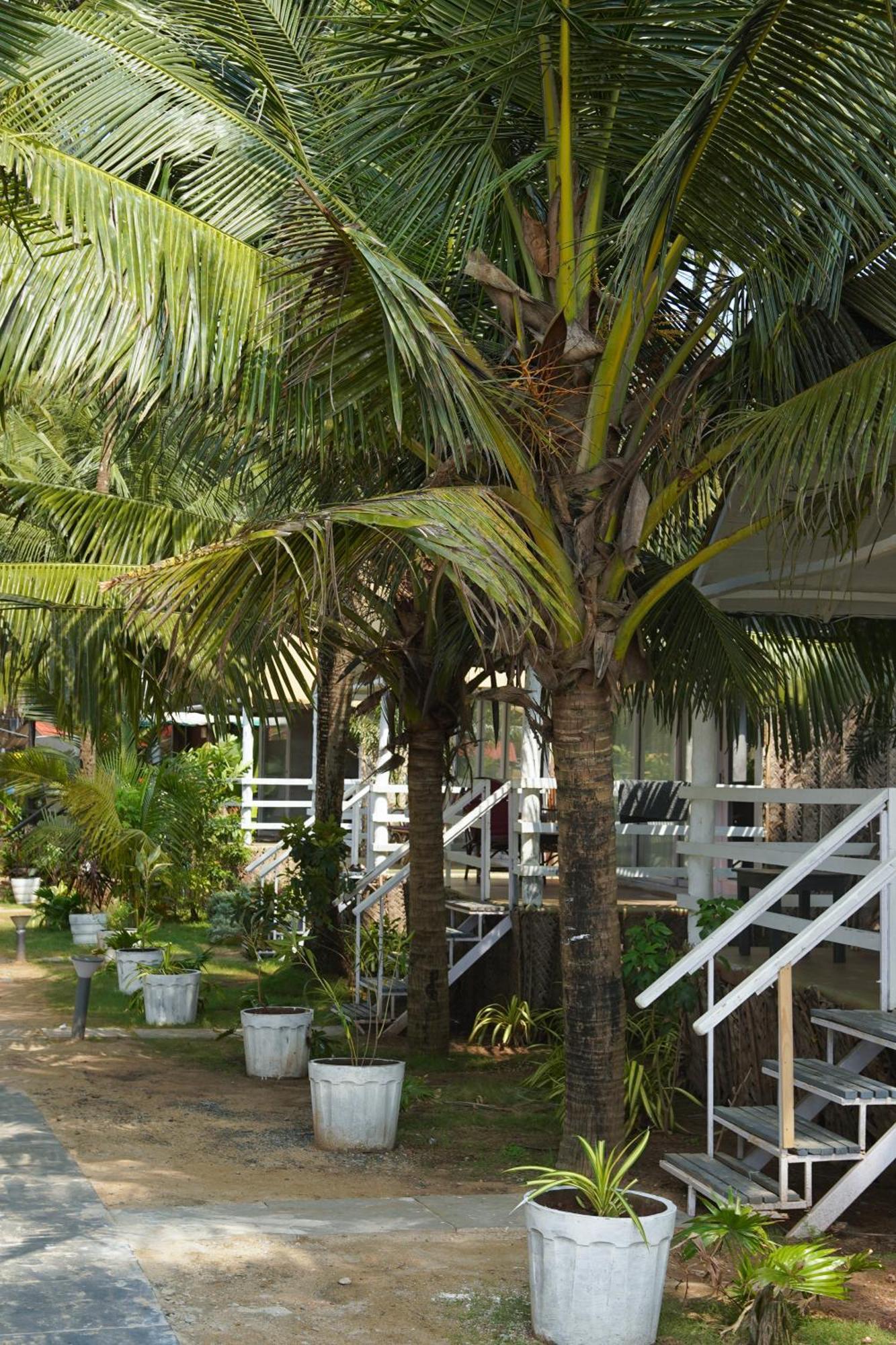 Beachfront Bliss Canacona Exterior photo
